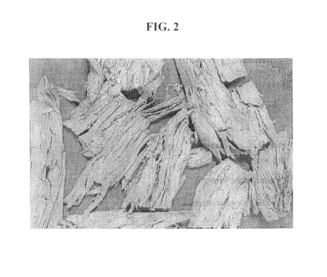 Flaked fish analogs and methods for making such analogs