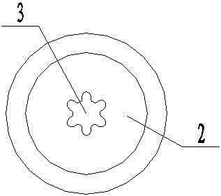 Supporting rod for femoral head necrosis