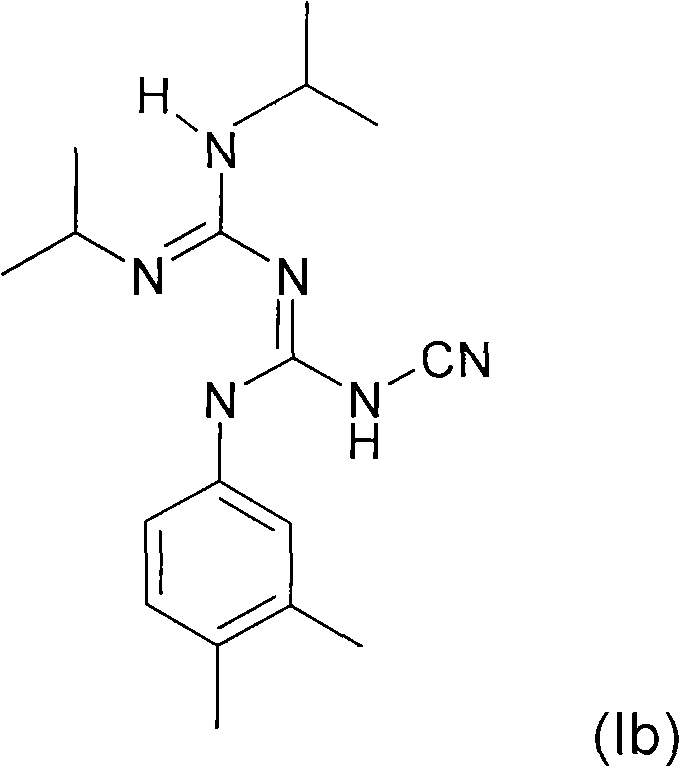 Modification of the surface chemistry of macromolecular species in the presence of a conjugated guanidine