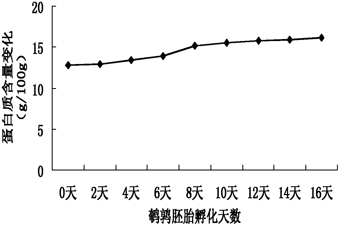 Fermented soya bean quail embryo egg sauce and preparation method thereof