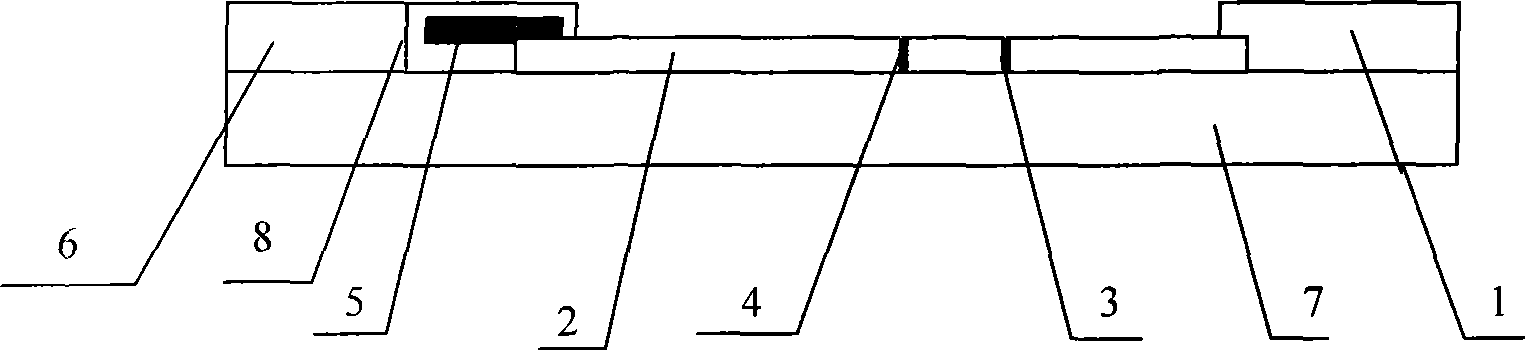 Apparatus for simultaneously detecting 10 kinds of food microorganism and screening diagnosis method thereof