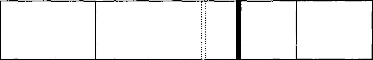 Apparatus for simultaneously detecting 10 kinds of food microorganism and screening diagnosis method thereof