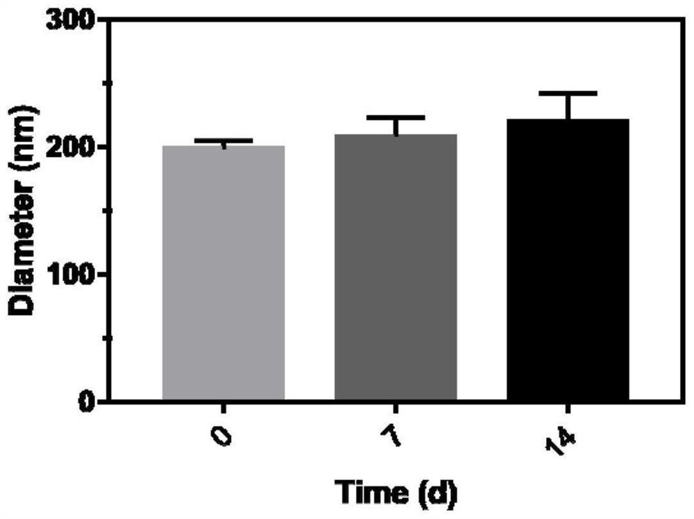 Targeted phase-change nano drug system and its preparation method and application