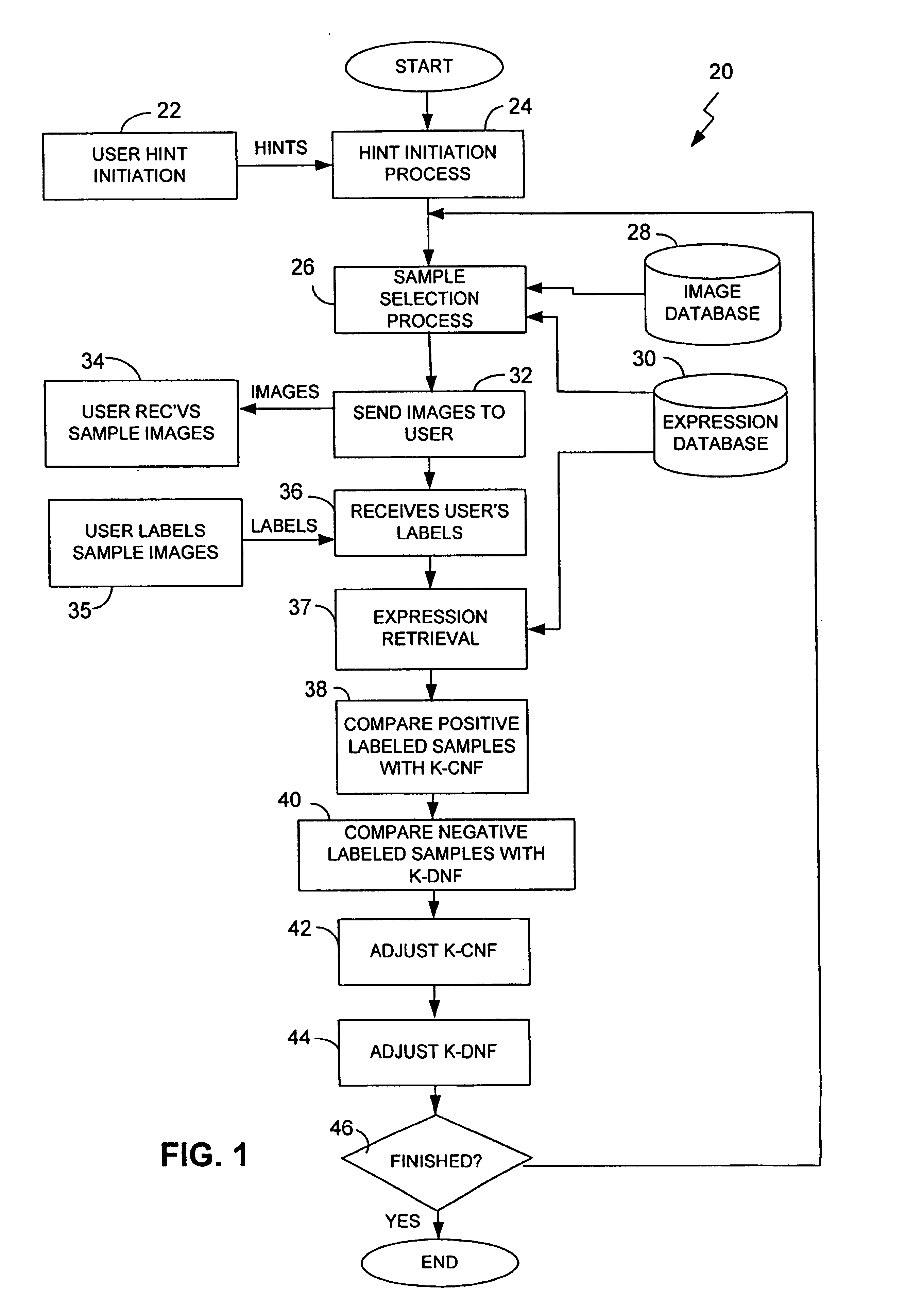 Maximizing expected generalization for learning complex query concepts