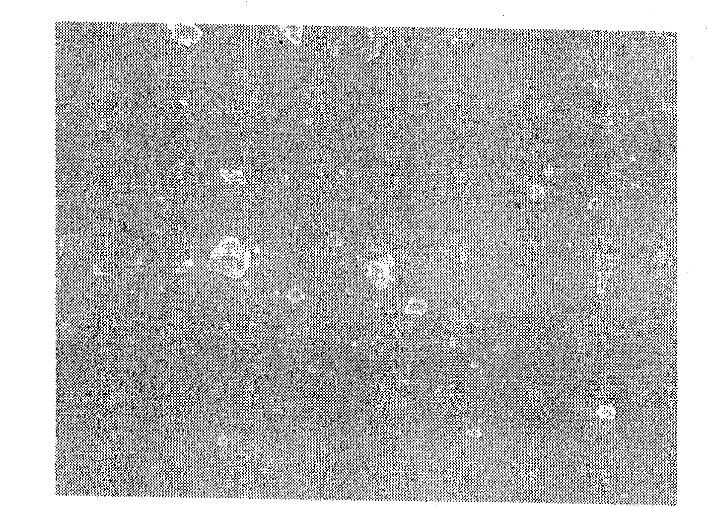 Preparation method of plugging composite material polyurethane elastomer used in coal mines