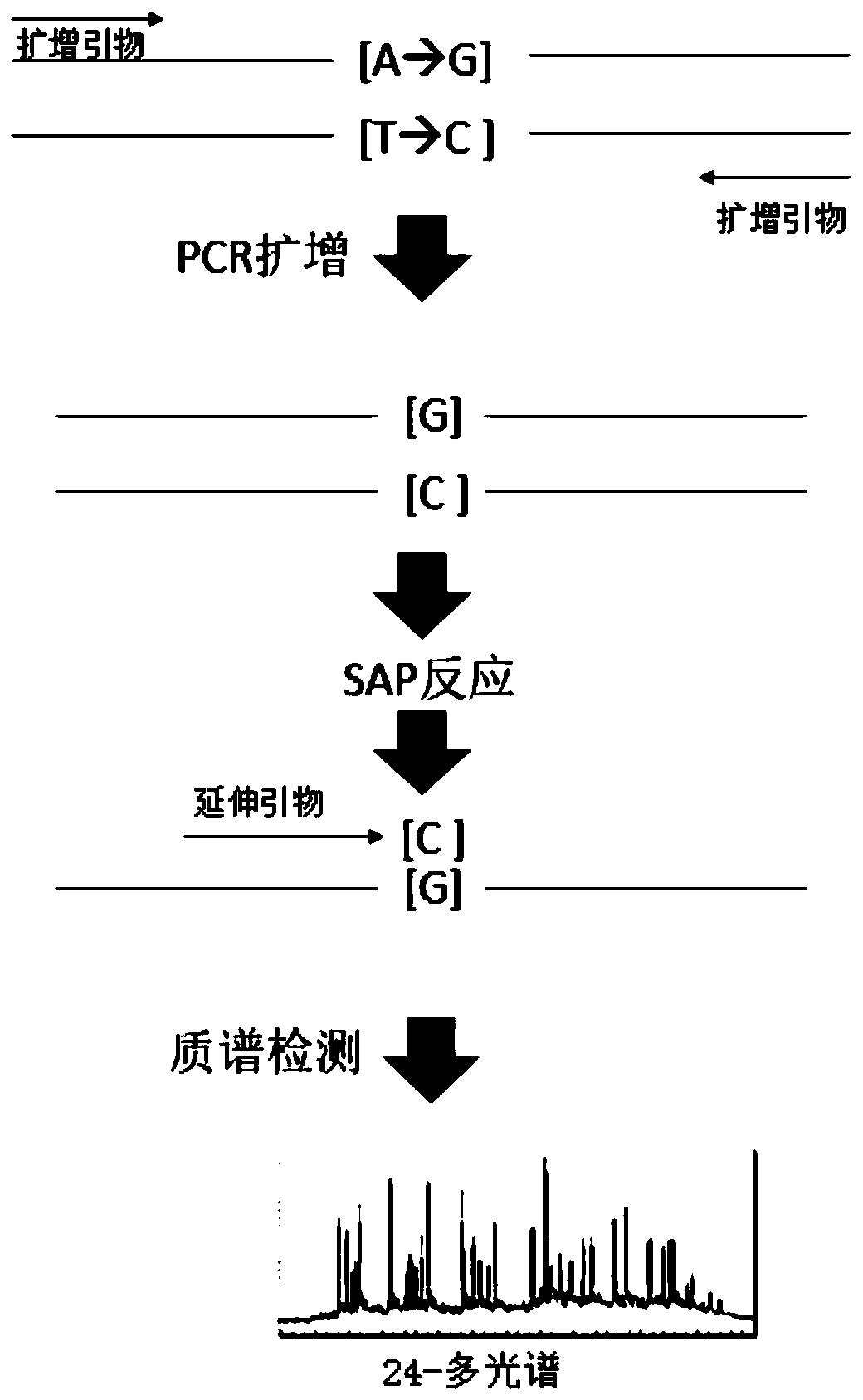 Kit for guiding human depression drug use and application thereof