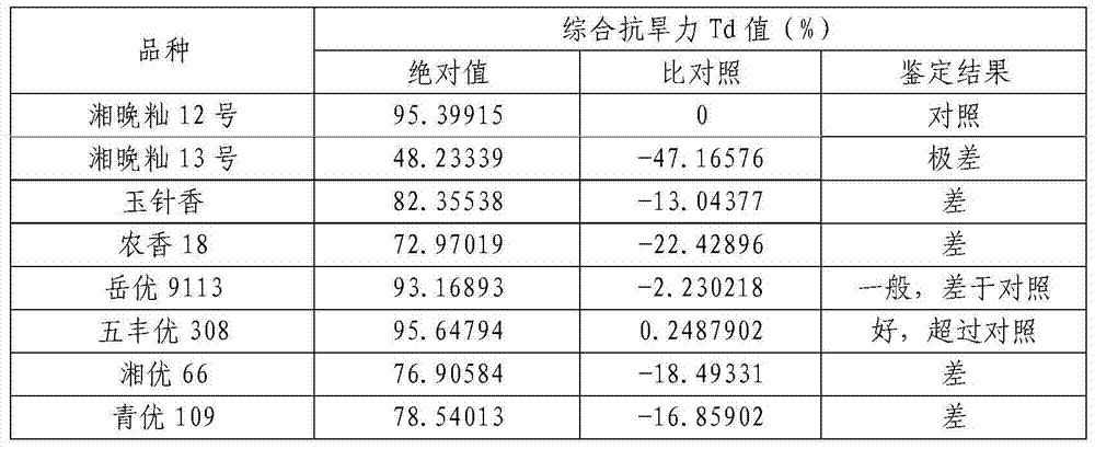 Method for identifying late rice head sprouting flowering period drought-enduring type varieties in field