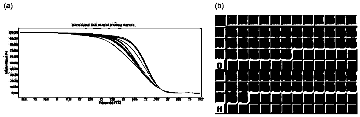 A SNP marker for identification of high stone cell content in pear pulp based on high-resolution melting curves and its application