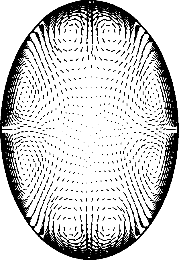 Intensified heat exchange tube with intersectional zoomed sections of circle-ellipse