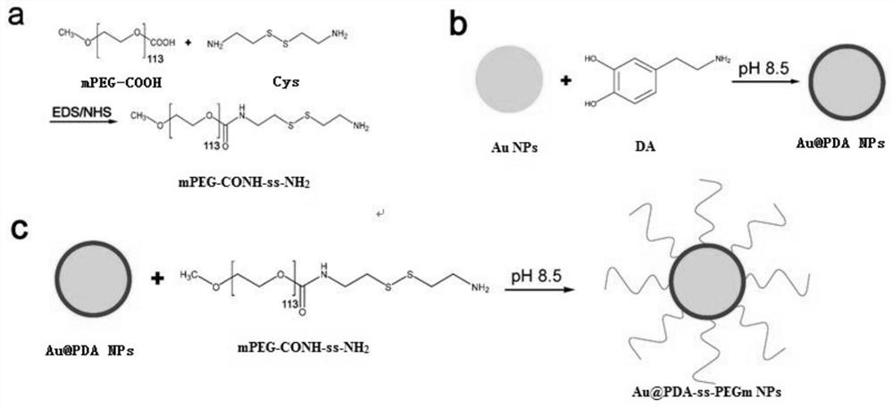 Glutathione stimulation-induced aggregation type composite gold nanoparticles and preparation thereof