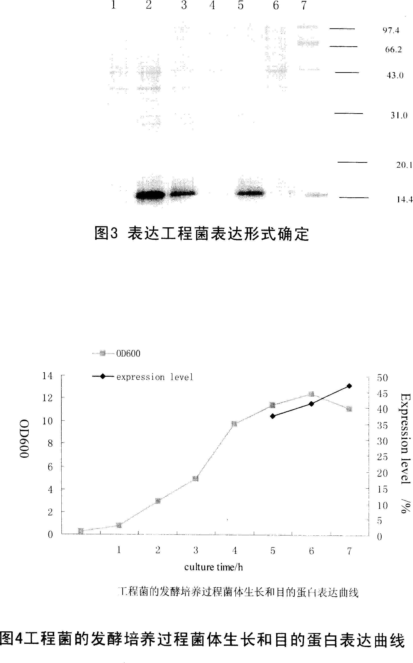 Production method of recombination human interleukin-4