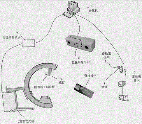 Spine pedicle screw implanting and locating device