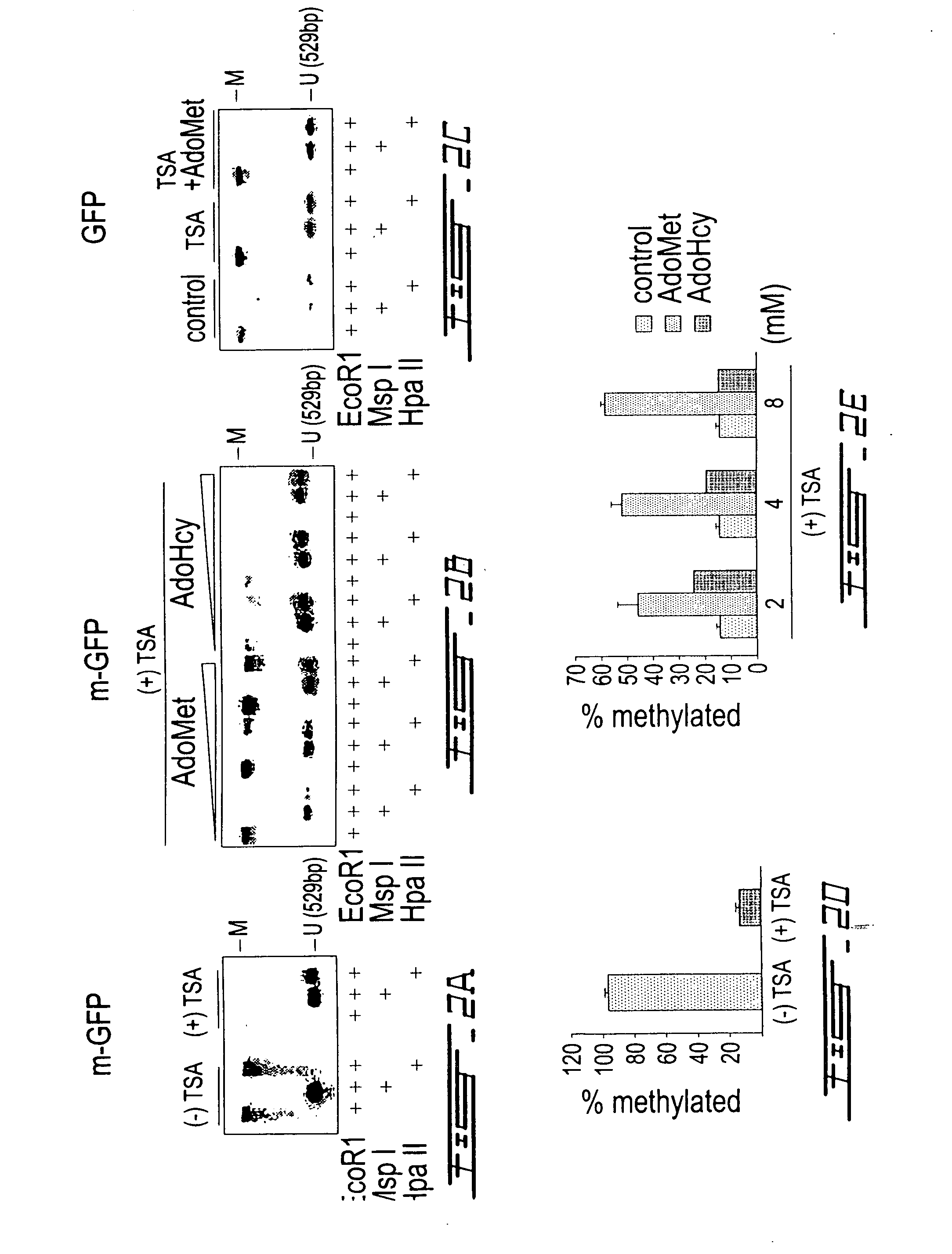 Inhibitor of demethylase, antitumorigenic agent, and an in vitro assay for demethylase inhibitors