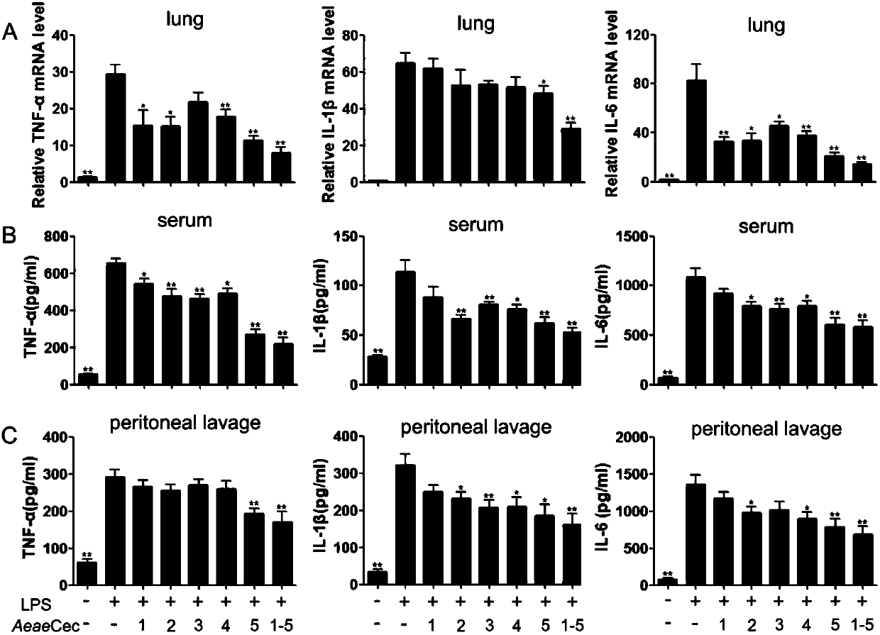 Application of cecropin polypeptide as anti-inflammatory drug