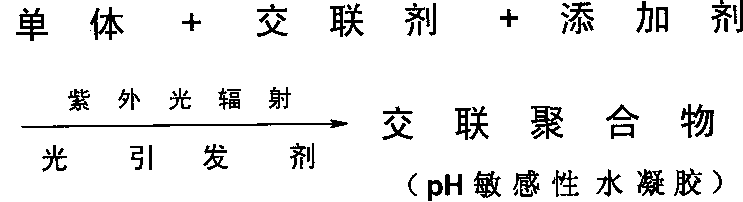 Process of directly synthetizing pH sensitive aquagel polymerized by UV radiation