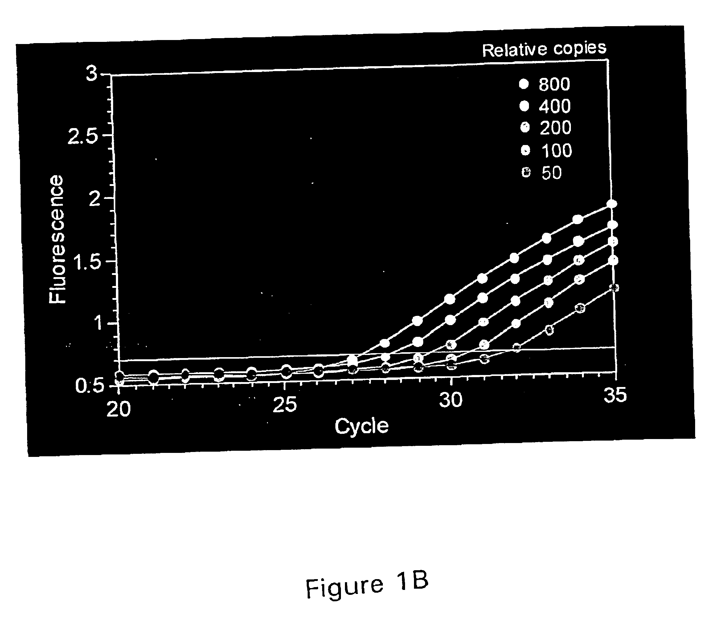 PCR assay