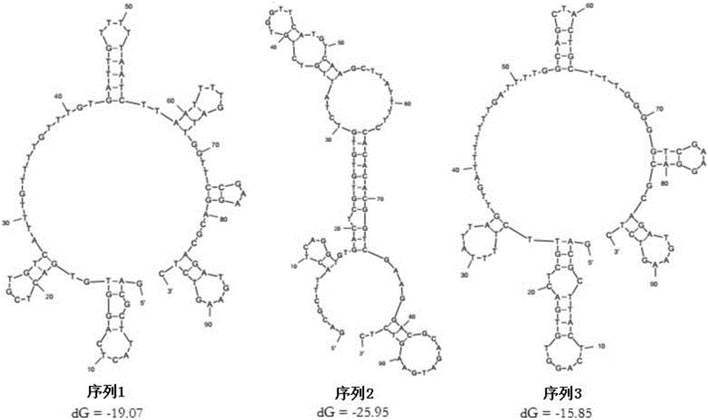 Aptamer-based Sandwich ELASA method for detecting nervous necrosis virus infection of groupers