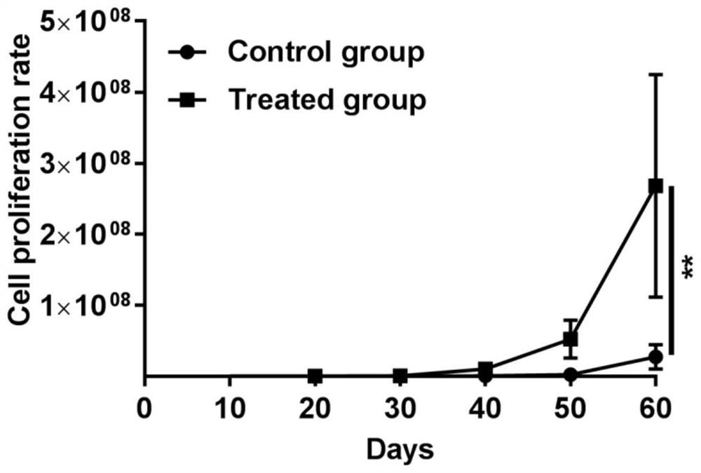 A method for establishing fluorescent nude mouse tumor model based on primary human glioma cells