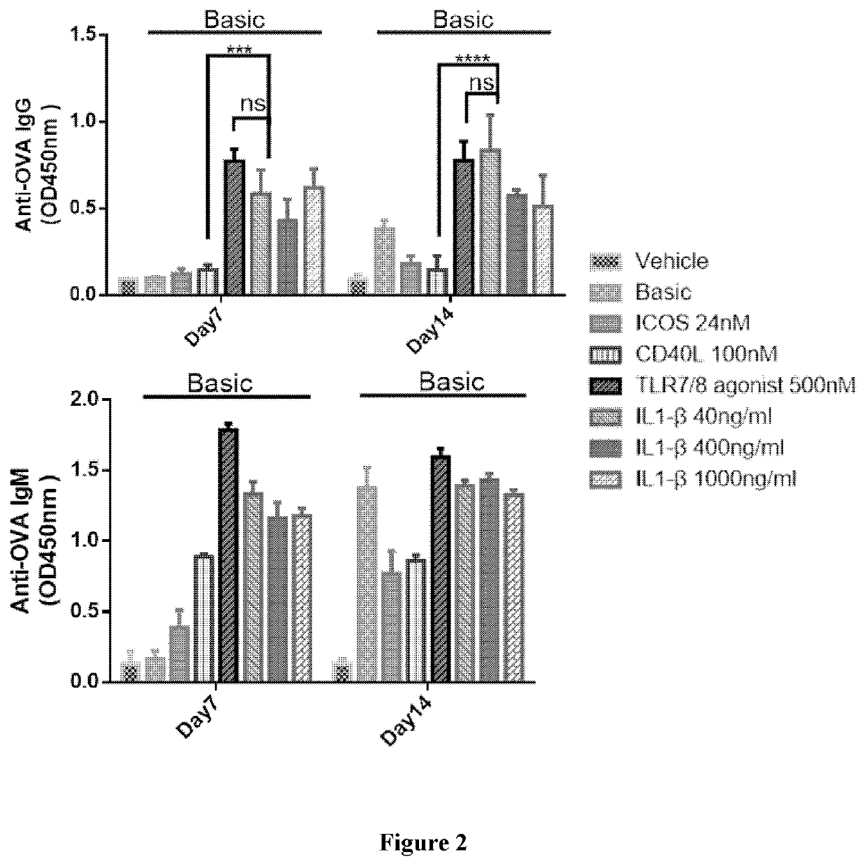 Novel method for producing antibodies