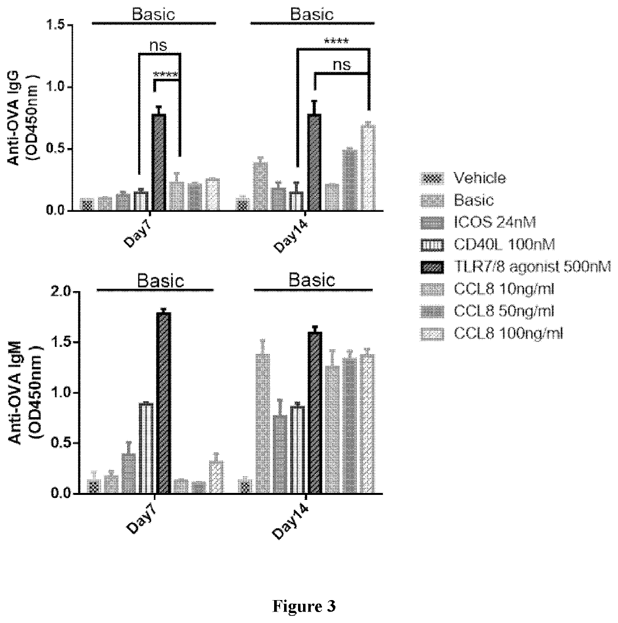 Novel method for producing antibodies