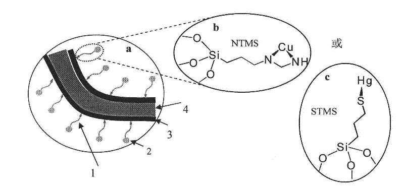 Preparation method of heavy metal ion enrichment cellulosic material