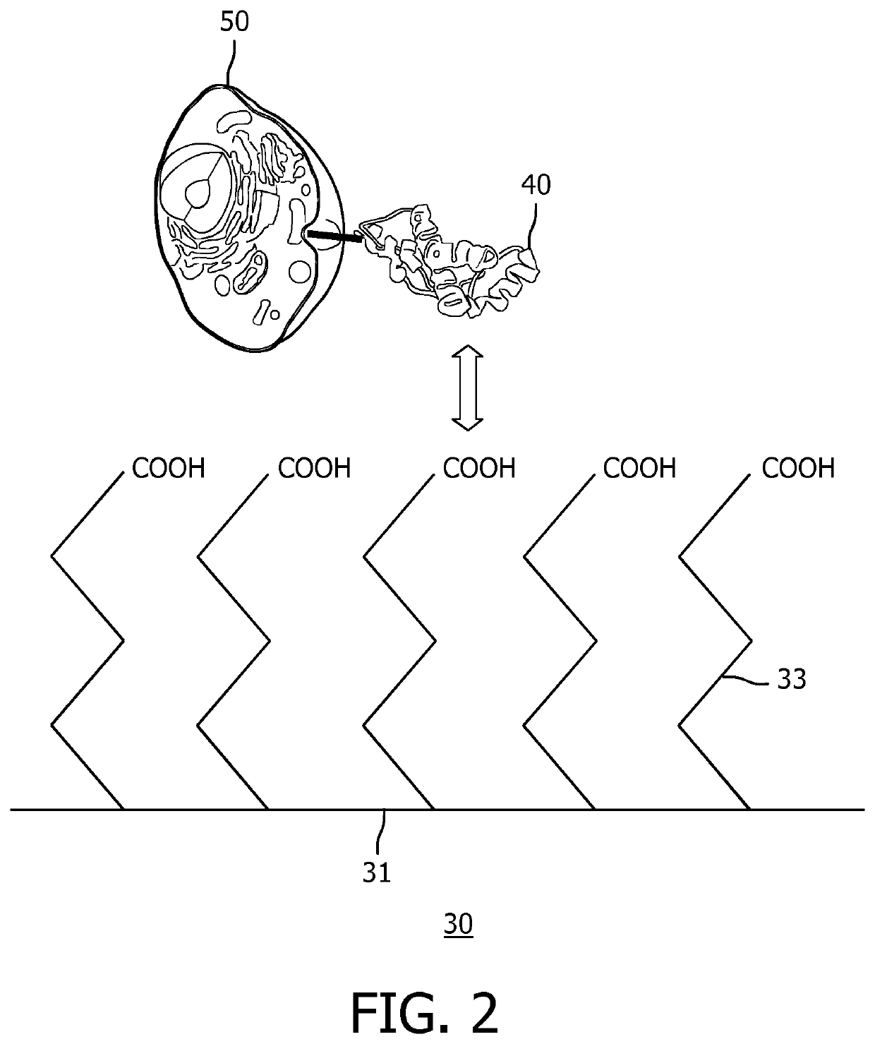 Cell cultering materials