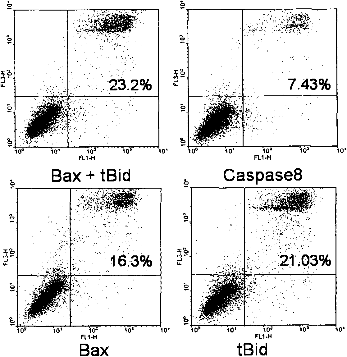 Transgenosis construct and application thereof in preparing space-time adjustable liver damage model