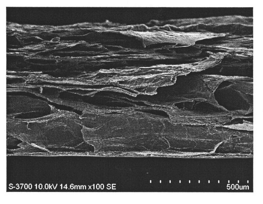 Method for preparing bionic modified collagen tissue repair material