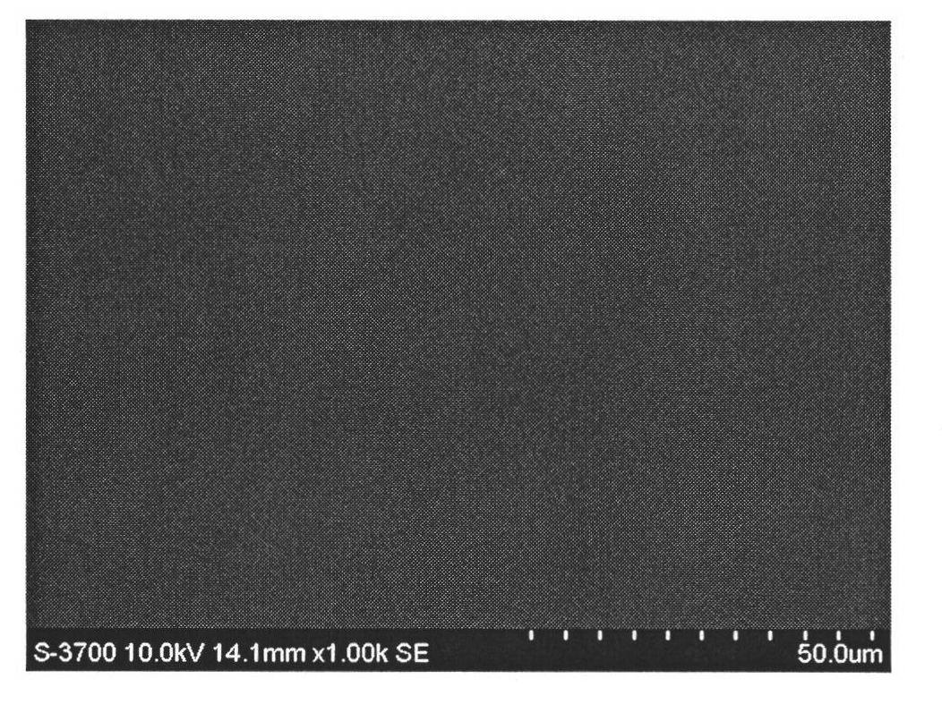 Method for preparing bionic modified collagen tissue repair material