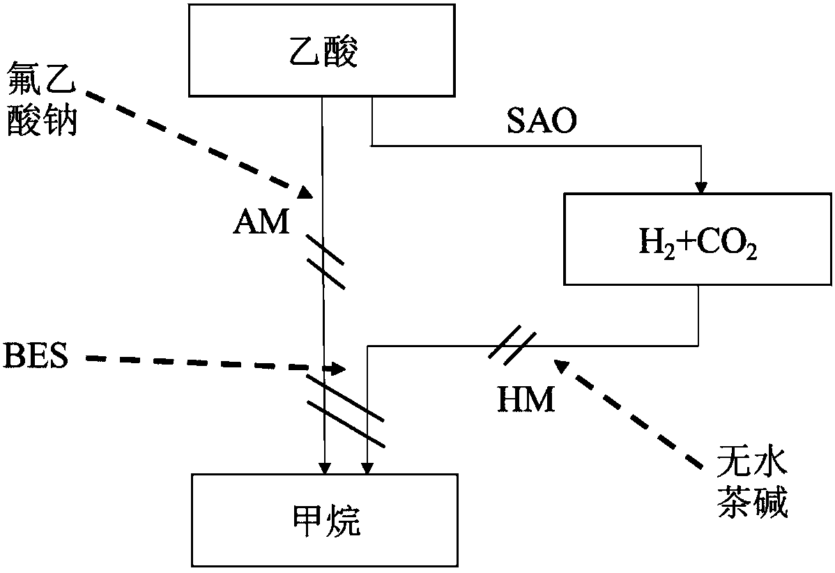 Method for researching methanogenesis metabolic pathway by utilizing selective depressants