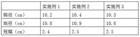 Method for carrying out raw soil greening on secondary salinized saline and alkaline land by using amino acid salt-containing soil conditioner