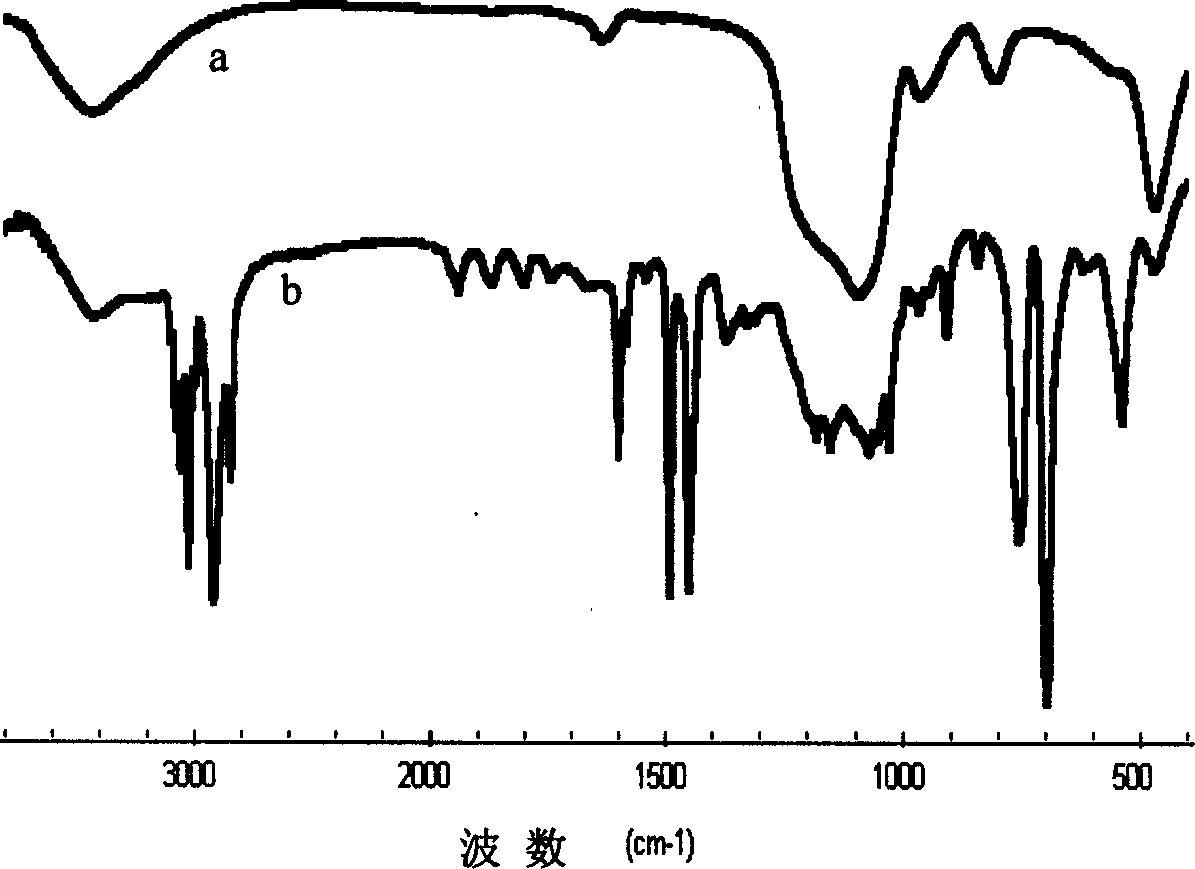 Composite polyolefin/sio2 nano particle and its prepn