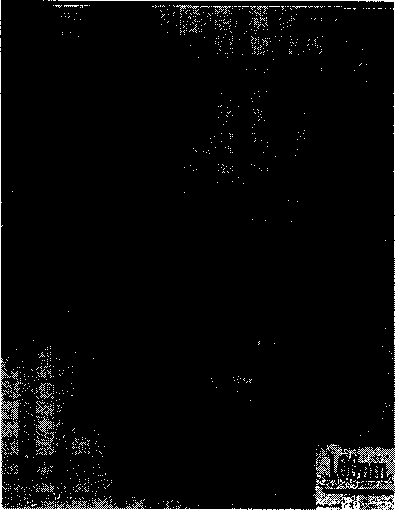 Composite polyolefin/sio2 nano particle and its prepn