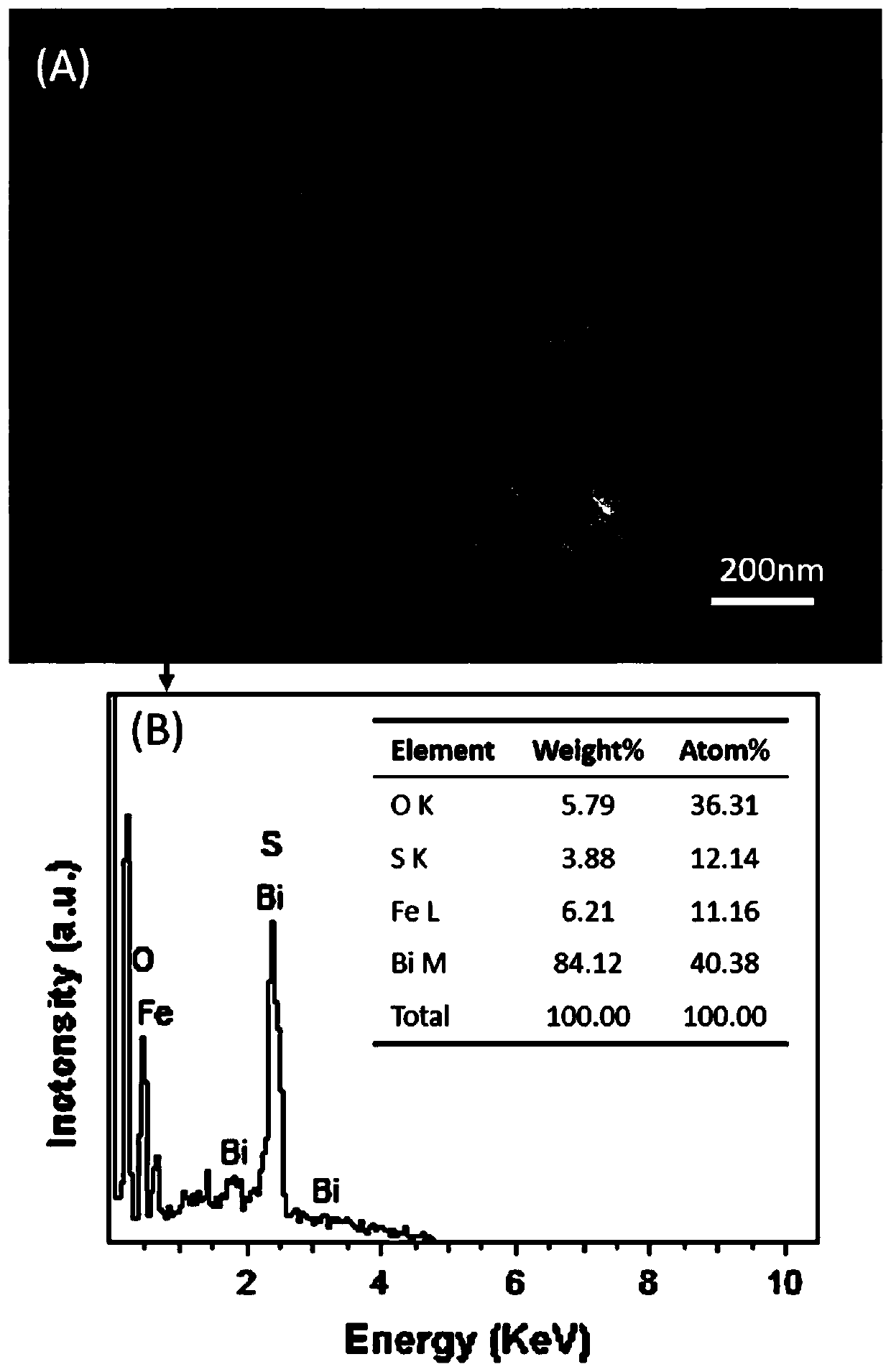 Preparation method and application of bismuth sulfide-bismuth ferrite composite visible light catalyst