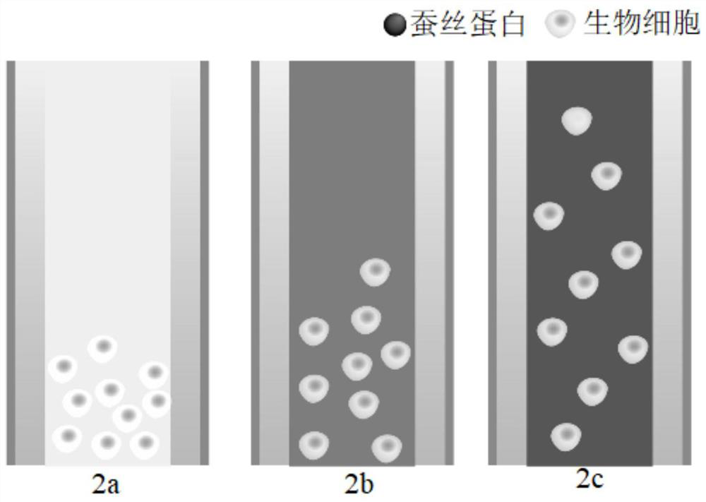 A bio-ink with uniform cell distribution based on 3D printing and its assembly method