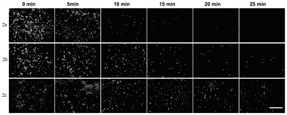 A bio-ink with uniform cell distribution based on 3D printing and its assembly method