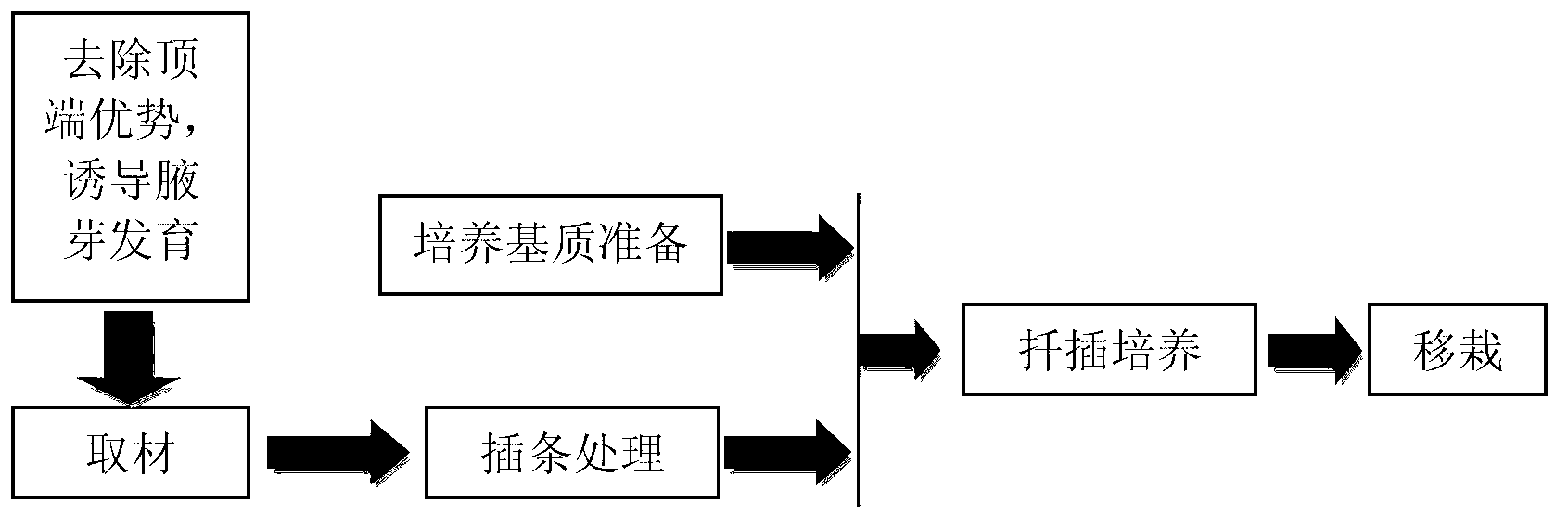 Switchgrass cuttage vegetative propagation method