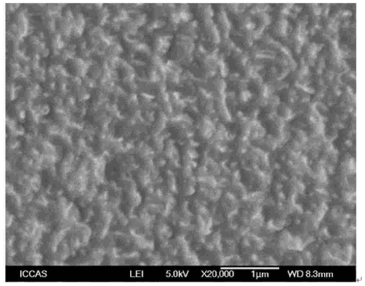 Microbial contamination resistance composite reverse osmosis membrane and preparation method thereof