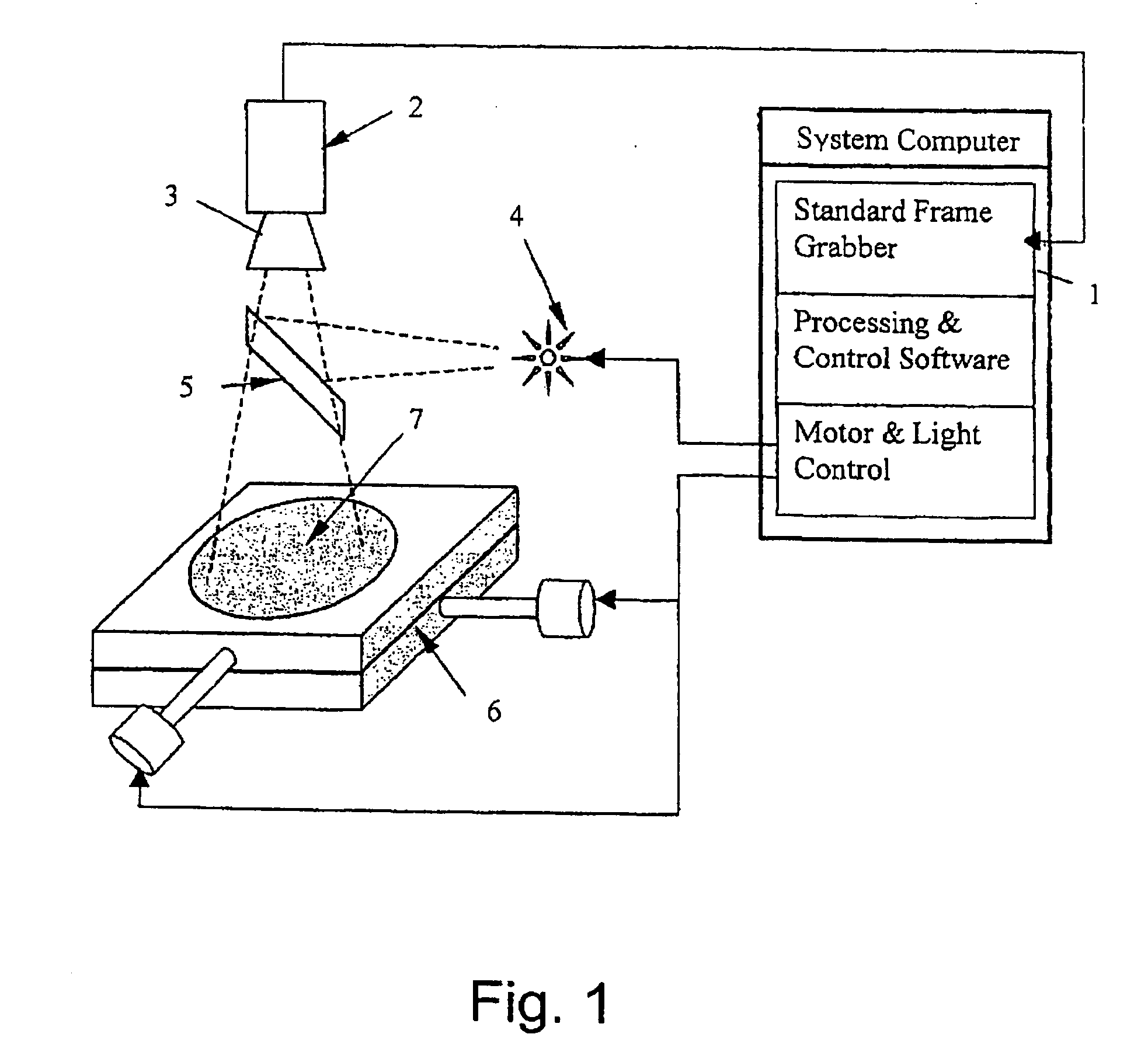 Method for the detection of viable microorganisms