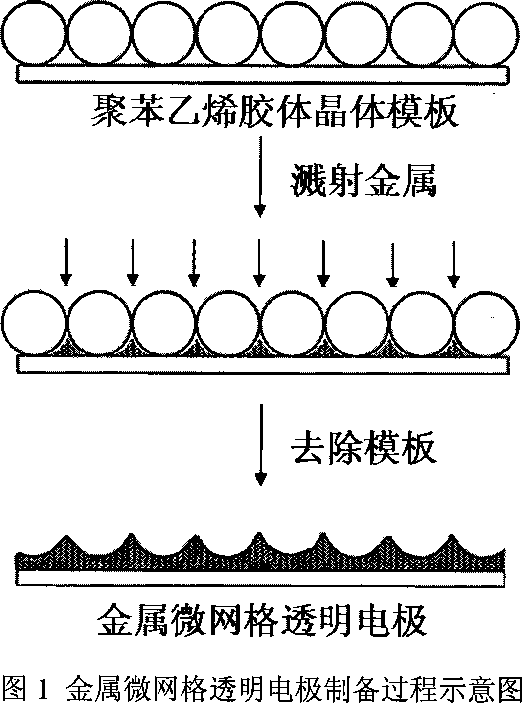 Metal microgrid transparent electrode and method for producing the same