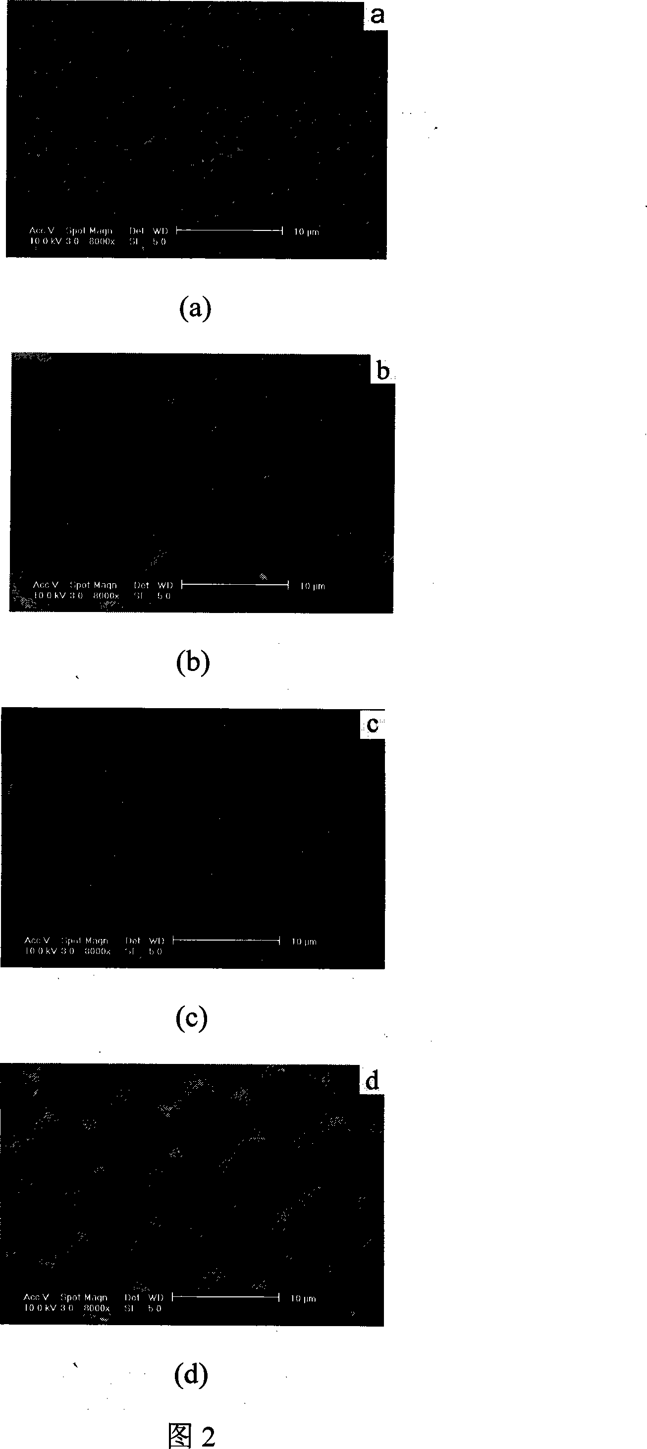 Metal microgrid transparent electrode and method for producing the same