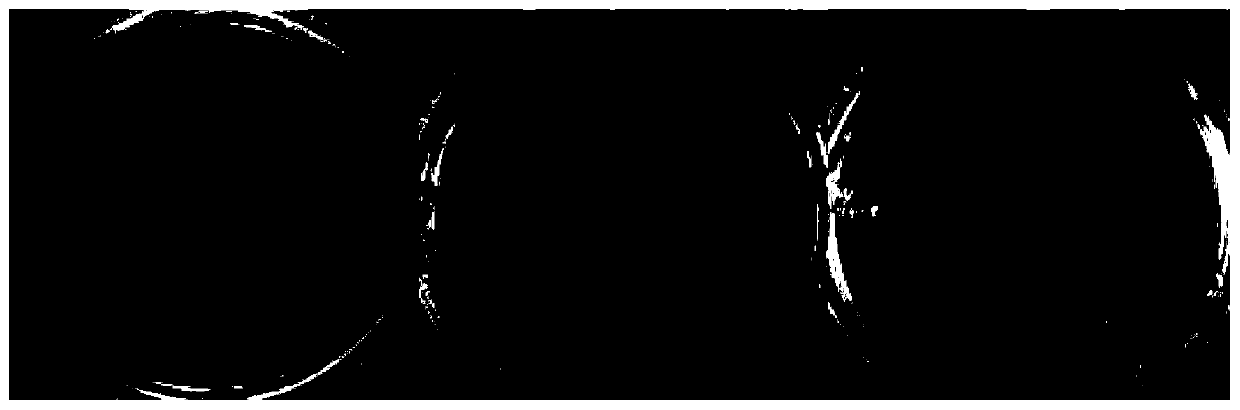 Mixed bacteria for promoting acacia nodulation and nitrogen fixation and application thereof