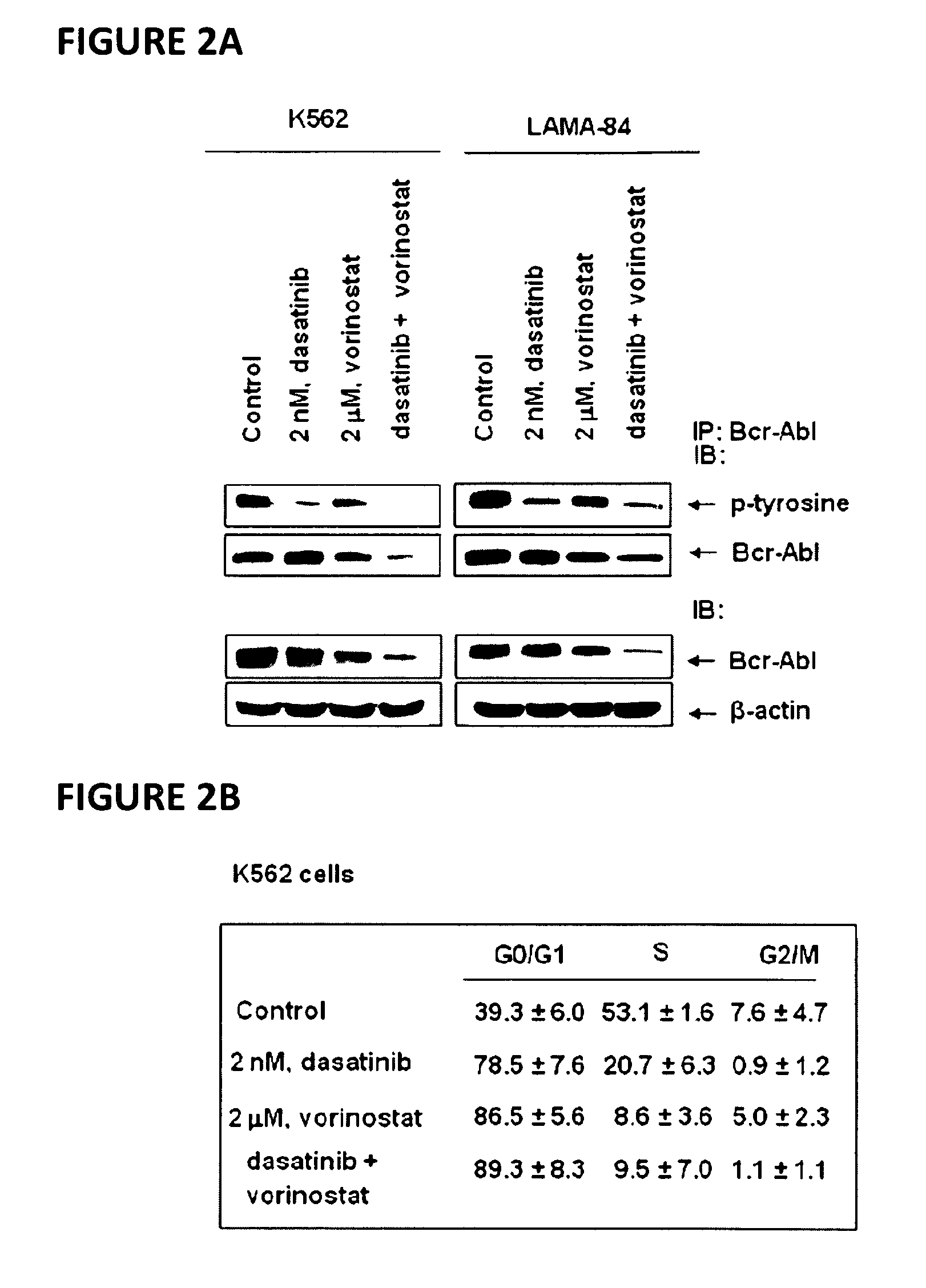 Method of treating chronic myelogenous leukemia cells