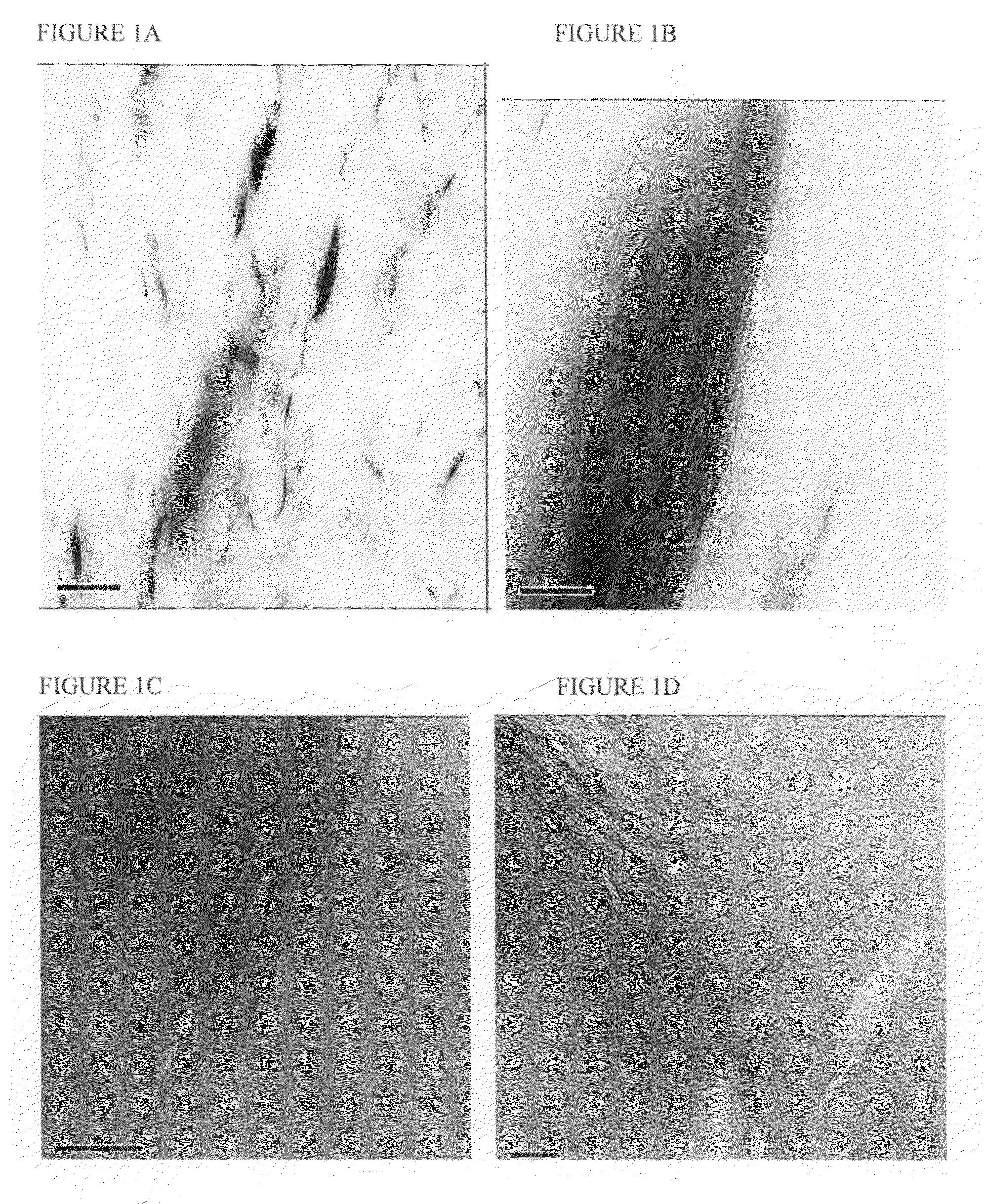 Thermoplastic elastomer compositions, methods for making the same, and articles made therefrom