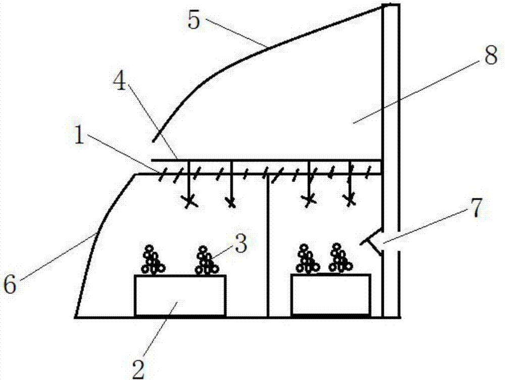 Greenhouse grape shed frame and cultivation method for cultivating Pleurotus ostreatus by using same