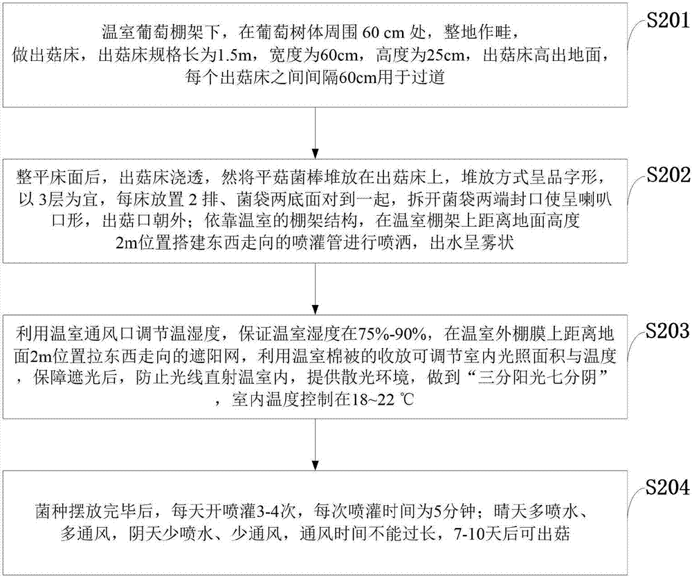 Greenhouse grape shed frame and cultivation method for cultivating Pleurotus ostreatus by using same