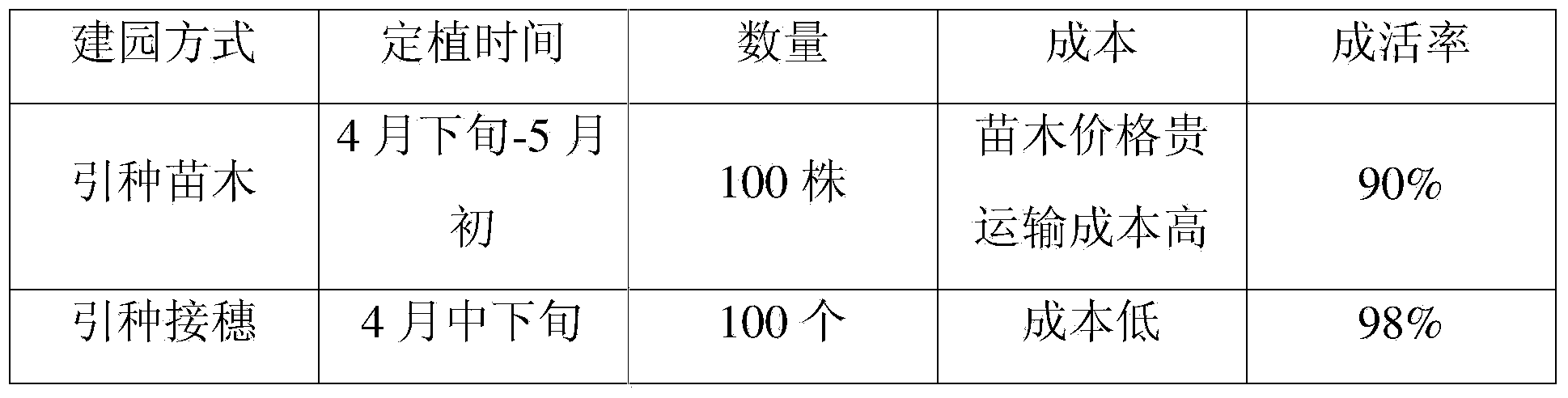 Method for achieving grafting and cultivation in the same year as planting for jujube trees