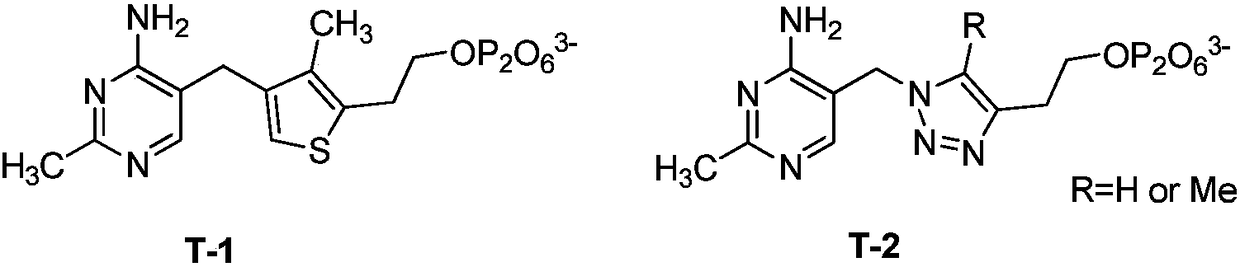 Branched-chain alpha-keto-acid dehydrogenase system inhibitor and preparation method and application thereof