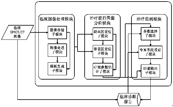 An ischemic stroke treatment monitoring system based on image information