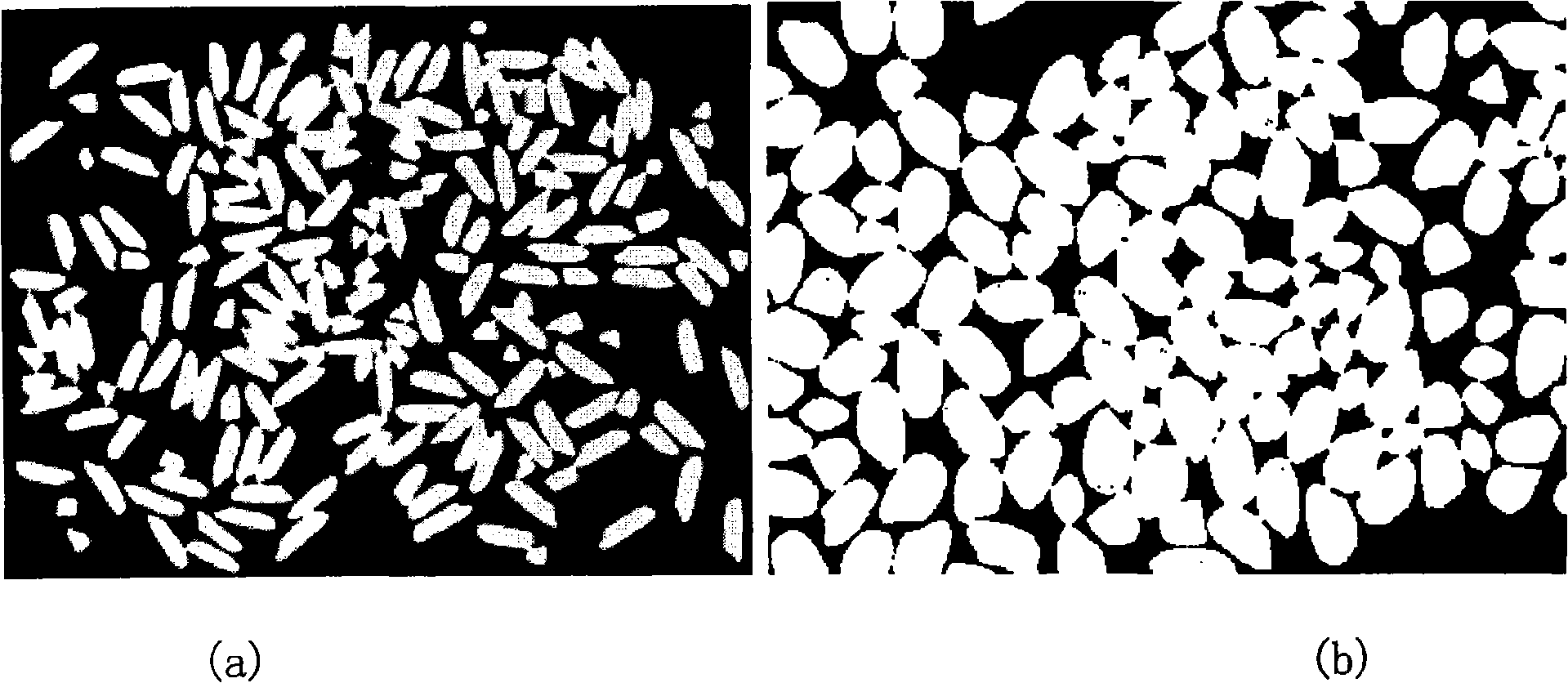 Image type automatic analysis method for mesh adhesion rice corn